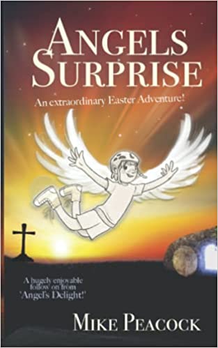 Angel's Surprise Book Cover